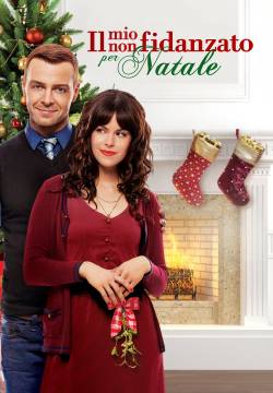 Hitched for the Holidays - Il mio non fidanzato per Natale (2012)